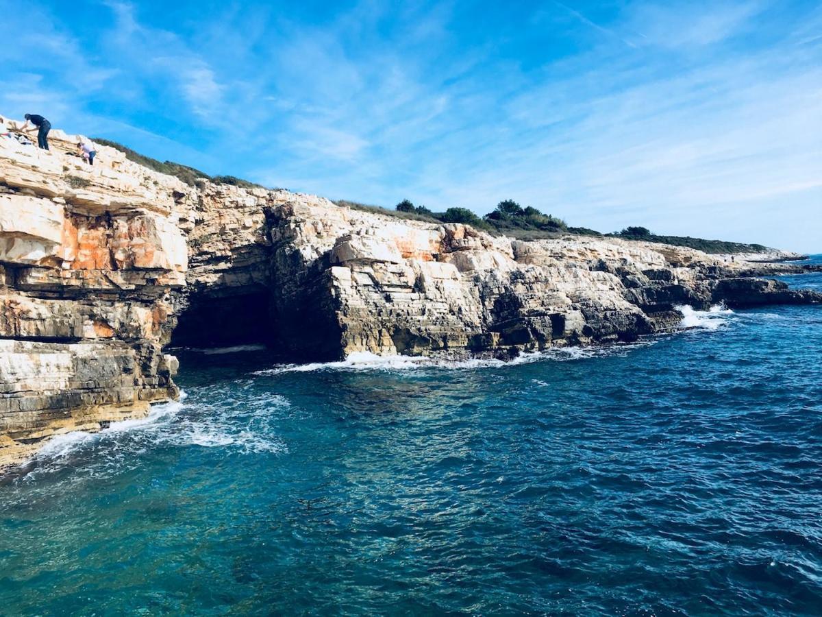Apartmani Antonella Premantura Esterno foto